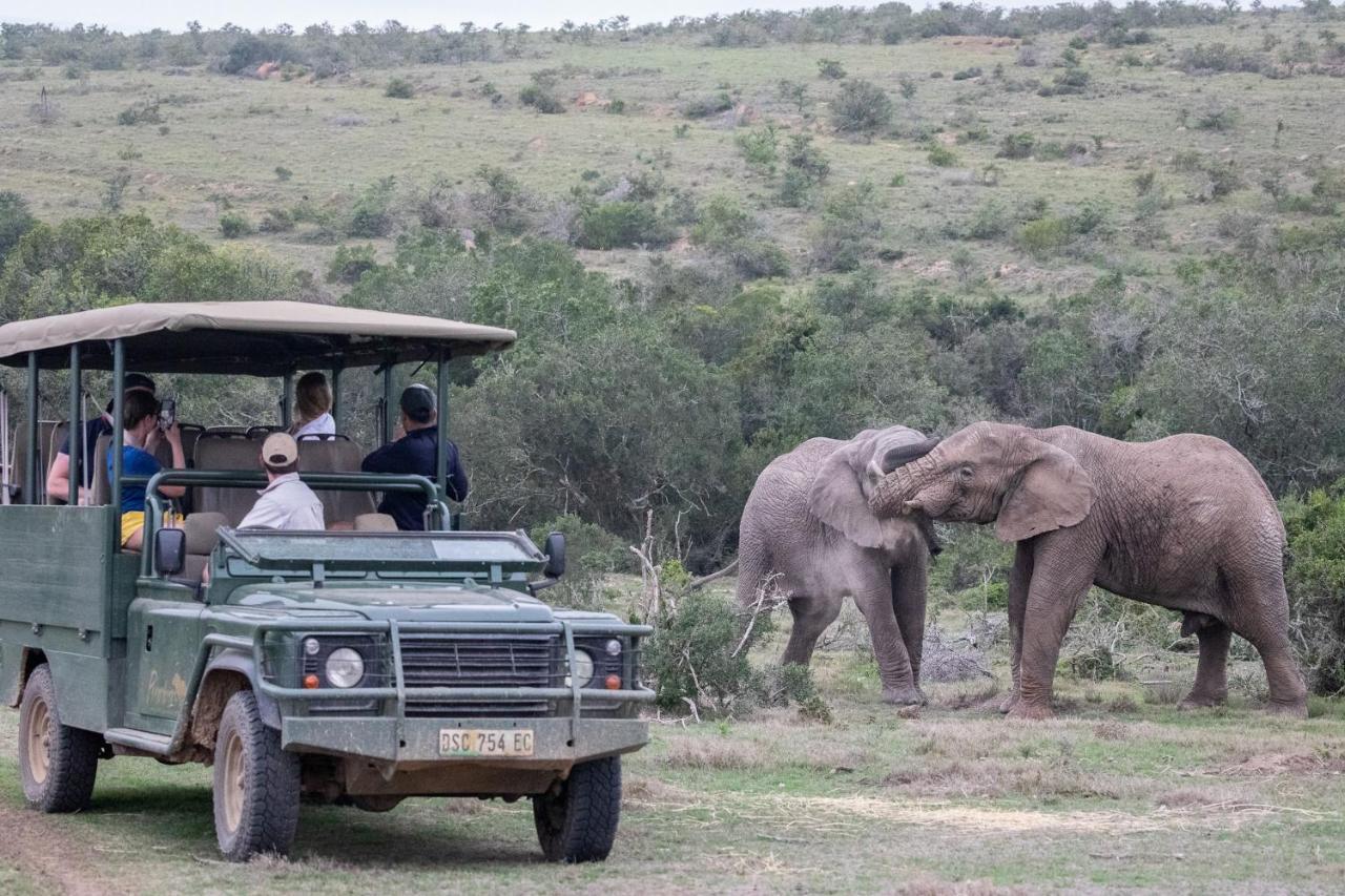 Вилла Pumba Private Game Reserve Грейамстаун Экстерьер фото