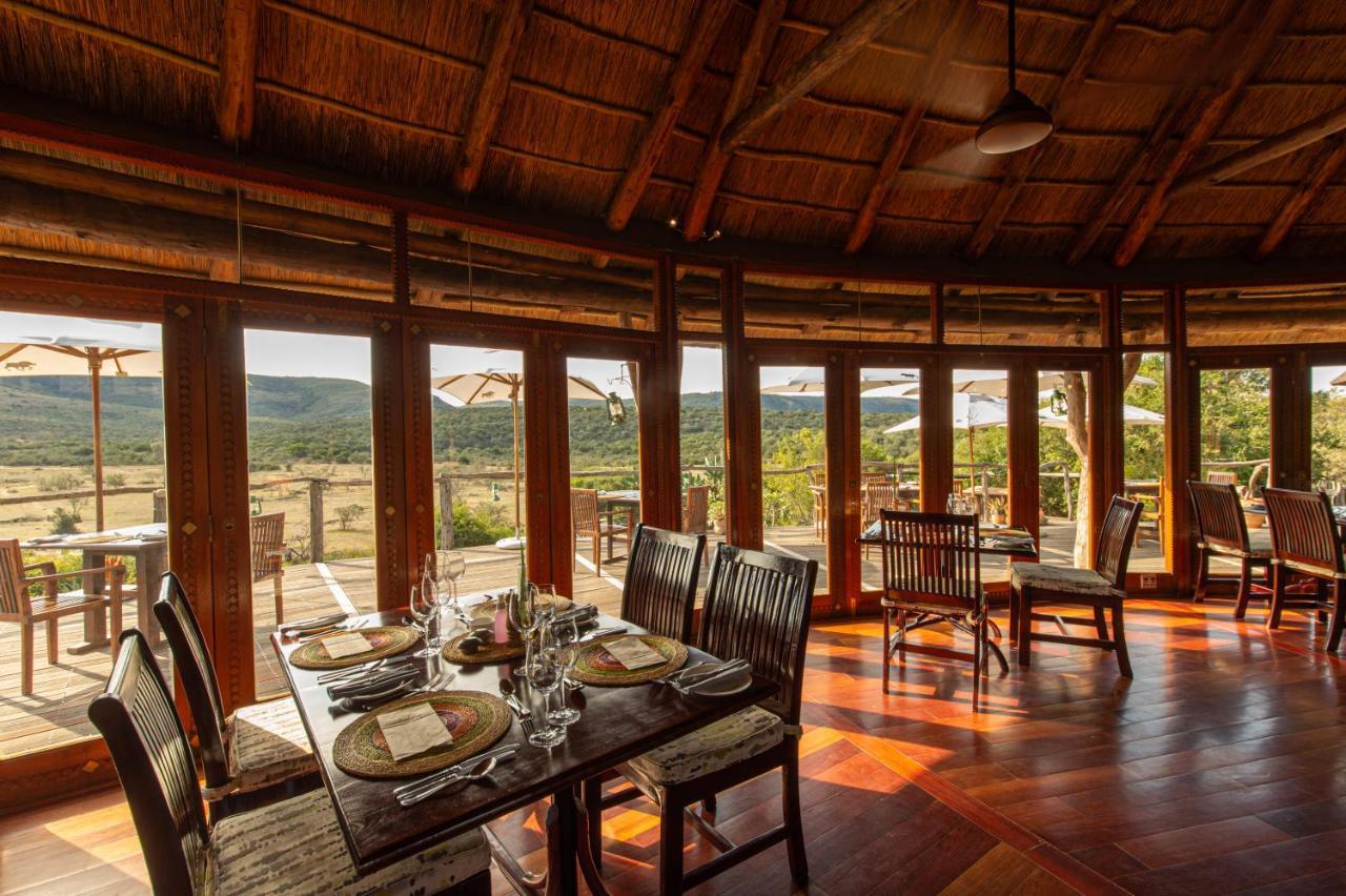 Pumba Private Game Reserve Грейамстаун Экстерьер фото