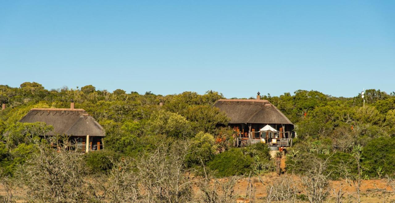 Pumba Private Game Reserve Грейамстаун Экстерьер фото